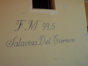 salavina